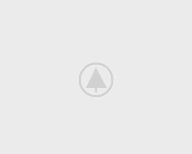 wood-gallery-placeholder wood-gallery-placeholder