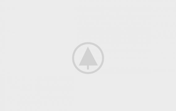 wood-portfolio-placeholder wood-portfolio-placeholder